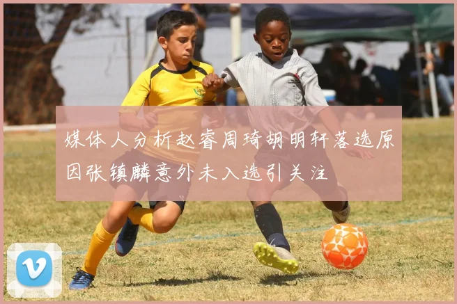 媒体人分析赵睿周琦胡明轩落选原因张镇麟意外未入选引关注